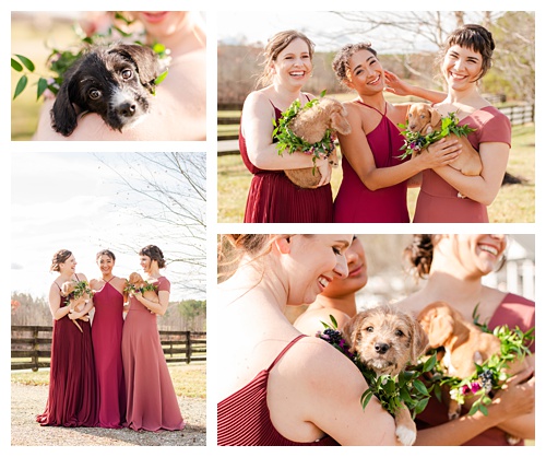 country traditional wedding photo, pink bridesmaids dresses