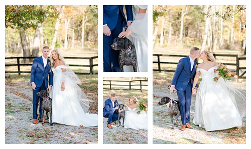 Photography by Michelle bride and groom portraits with puppy