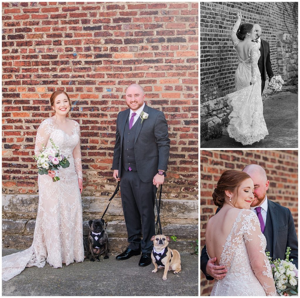 bride and groom portraits with dogs 