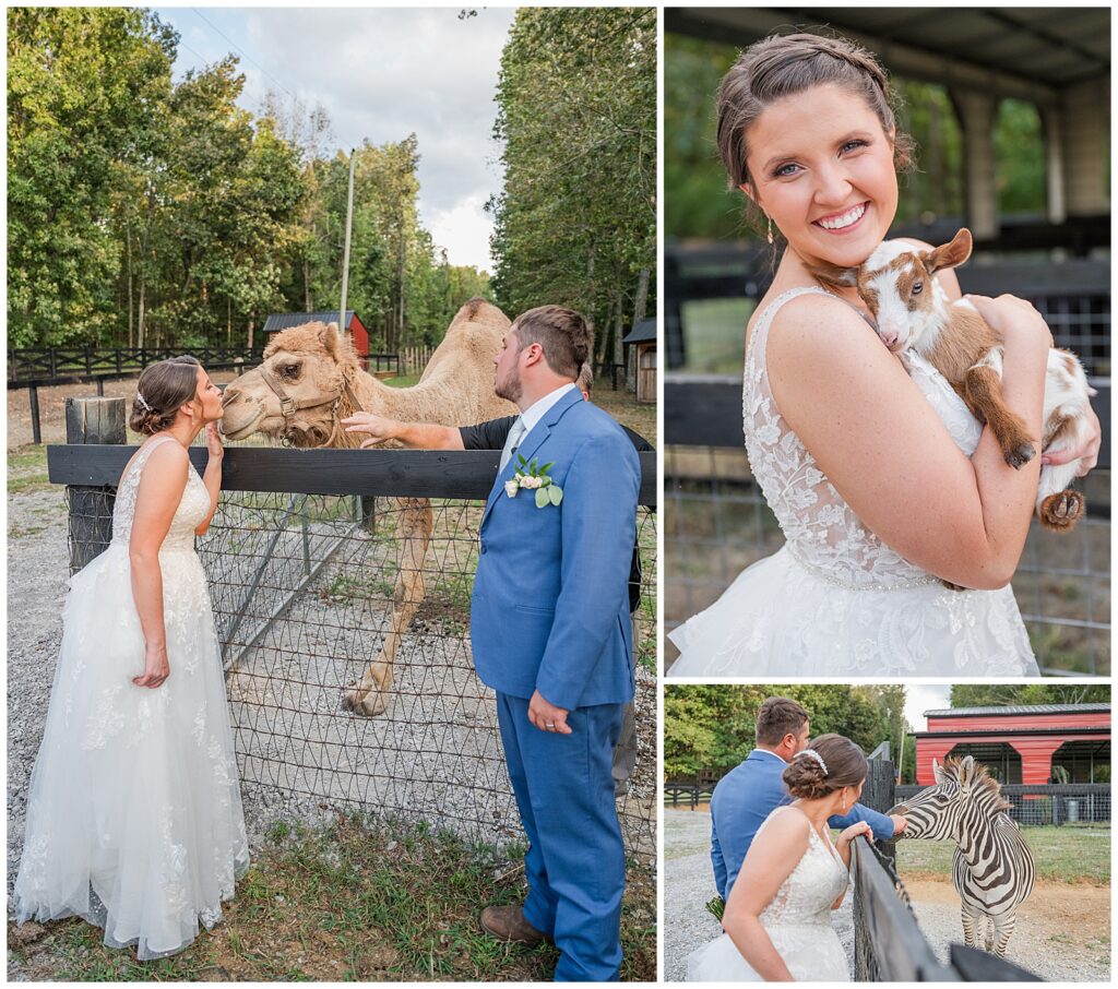 Photos with the animals | The Wedding Bar at Like a Zoo | Lebanon, TN