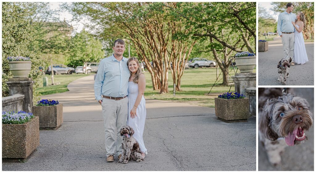 Spring engagement photos with their dog at Centennial Park | Nashville, TN 